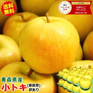 【最終セール】即日発送 青森 りんご 訳あり/家庭用 5kg・10kg箱 小トキ【送料無料】サンふじと王林の交…