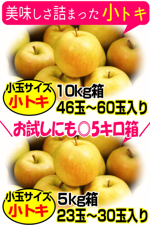 楽天市場】【最終セール】即日発送 青森 りんご 訳あり/家庭用 5kg