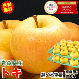 早割クーポンで400円引き！青森 りんご 訳あり/家庭用 5kg・10kg箱 トキ【送料無料】サンふじと王林の交配種♪【青森 リンゴ 林檎 訳あり お試し 小玉 トキ 5キロ 10キロ箱 自宅用 果物 フルーツ】【3180円～】★選べる重量 トキ 家訳