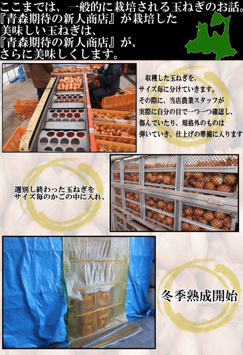 玄米ちっぷす 玉ねぎ(袋)｜中央軒煎餅公式通販
