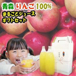 SSԌ聚zSALEIMtg Ε  X 100 W[X 1000ml×2{lΉ X 񂲃W[X SW[X ь xX Tӂ ܖ  X X