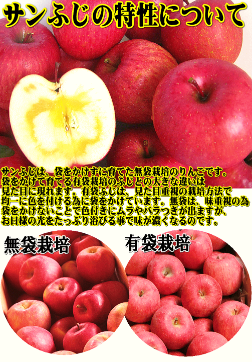楽天市場 18玉 玉 贈答用 りんご サンふじ 5kg箱 一度食べたら忘れられない 樹上完熟食べてわかる違い 税込3980円 青森期待の新人商店