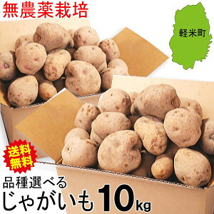 ���Ⴊ���� 10kg ���_��͔| ����������茧�Y �j�� �L�^�A�J�� �i�킪�I�ׂ�W���K�C���ቷ�n������ 10�L�����Ⴊ���� ����ł͂Ȃ��y�j�݃C�� ���������� �k������zAB�i���� ���� �󂠂�