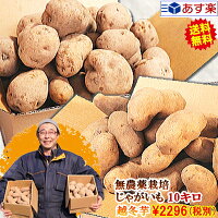 ���㤬����10kg����̵��