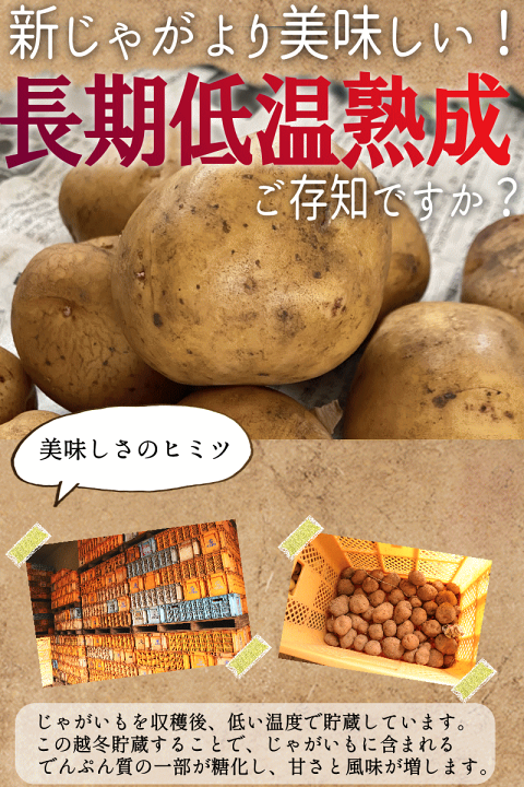 楽天市場】キタアカリ じゃがいも種芋の通販