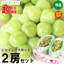 お試し200引きクーポン！【超目玉価格】最安挑戦！福島 種なし シャインマスカット 2房セット【送料無料】種無し 皮ごと 食べられる 【合計800g以上 秀品】 【果物 プレゼント ギフト 贈答用 熨斗】山梨・長野に負けない 甘い ブドウ3980円