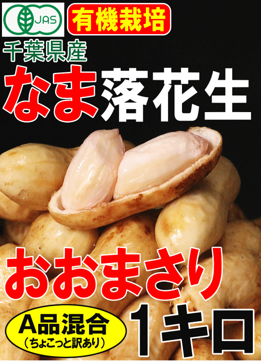 楽天市場】最安値挑戦【送料無料】千葉産 有機栽培 おおまさり