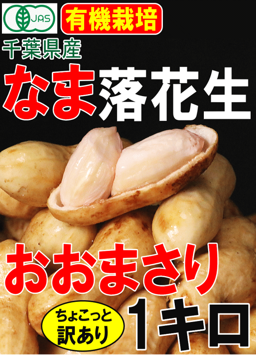 楽天市場】【出荷中/あす楽！最安挑戦】送料無料☆有機 千葉県産 生