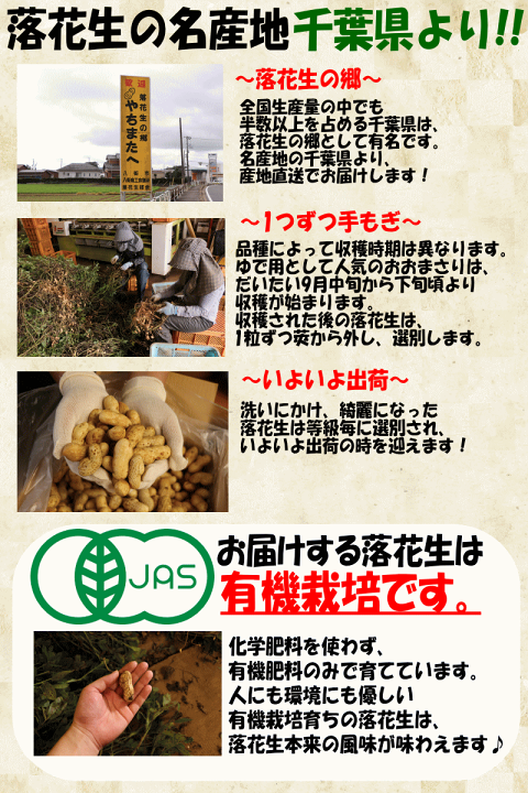 楽天市場】※間もなく終了※当日発送【最安値挑戦】千葉産 有機栽培 おお