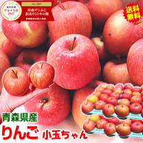 楽天市場】小玉 りんご 訳ありの通販