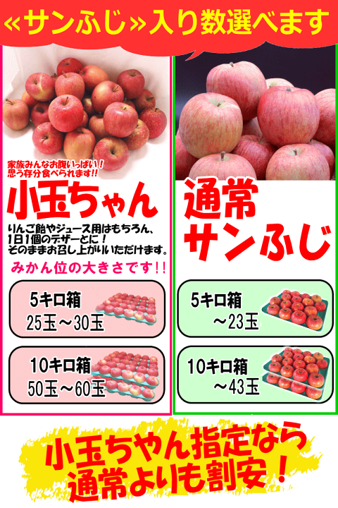 楽天市場】300円クーポン 青森 りんご サンふじ 3kg・5kg・10kg箱 家庭