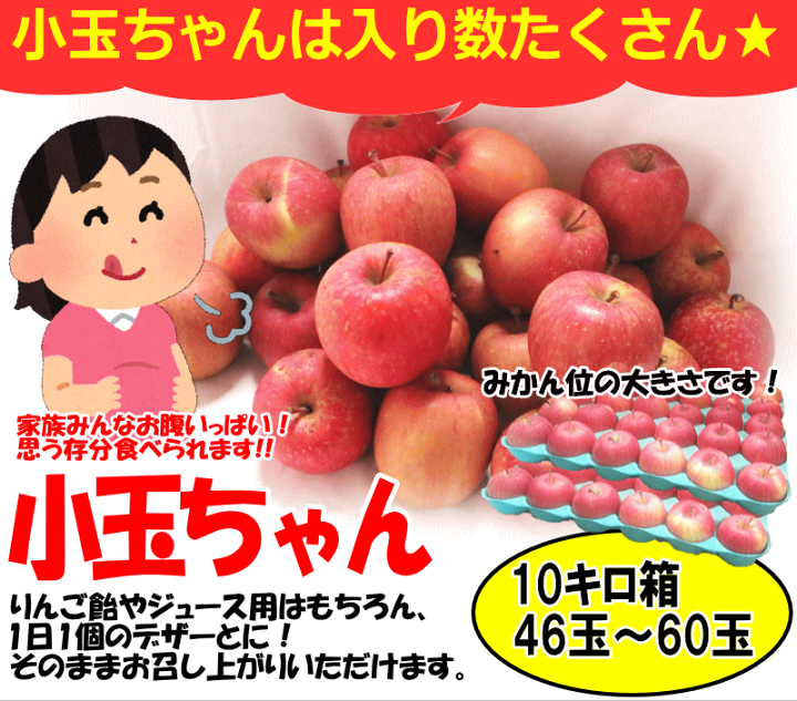 『サンふじ』小玉56玉10キロ と訳ありサイズ色々箱込10キロの計2箱セット サンふじ』小玉56玉10キロ と訳ありサイズ色々箱込10キロの計2箱