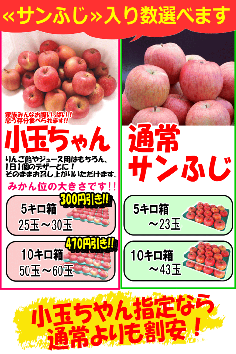 楽天市場】セール！青森 りんご サンふじ 10kg/5kg/3kg/2kg 家庭用/訳