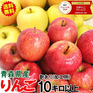 ŏIZ[lČyyz X  󂠂/Hp 10kgȏyN[֑zW[Xp₨َqɍœK 10kg olߐFsqu? tao _ 䙉 yň