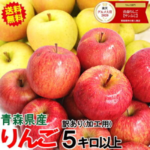 ŏIZ[lČyyzX  󂠂/Hp 5kgyN[֑zW[Xp₨َqɍœK 5kg olߐFsqu? tao _ 䙉 appleyňz