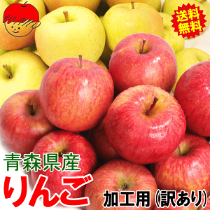 大人気の激安企画【あす楽】青森 りんご 5kg・10kg 訳あり/加工用 【送料無料】ジュース用やお菓子作りに最適 5kg 10kg バラ詰め色つき不足傷ありqu? tao 蘋果 苹果 apple【最安挑戦】税込2380円〜