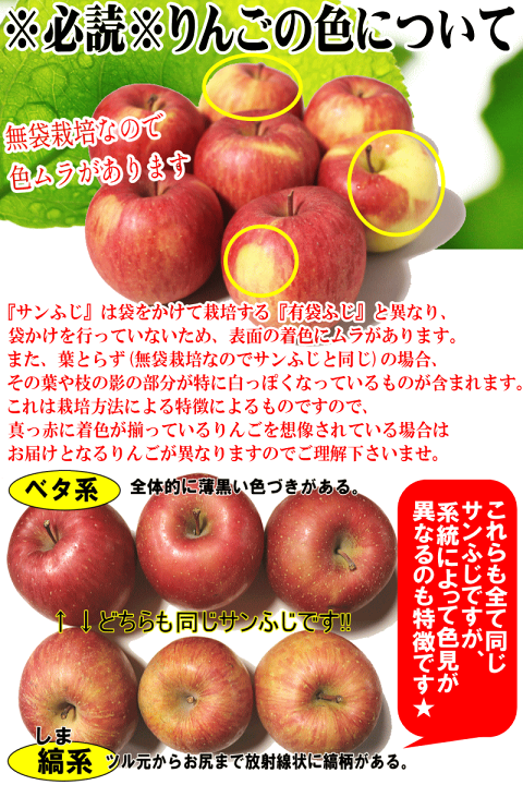 楽天市場】あす楽 熨斗対応 青森 りんご 高糖度サンふじ 10kg箱 楽天市場】あす楽 熨斗対応 青森 りんご 高糖度サンふじ 10kg箱