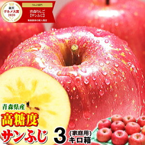 y\ / zlΉ X  Tӂ 3kg ƒp yzX  ӂ 3Ly 󂠂 zy 3kg z召lX 2980~Tӂ  3kg