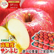 セール！即日発送 青森 りんご サンふじ 家庭用 10kg/5kg/3kg/2kg【クール対応 / 常温送料無料】青森 り…