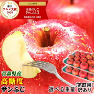 セール！青森 りんご サンふじ 10kg/5kg/3kg/2kg 家庭用/訳あり【送料無料】青森 りんご 選べる10キロ 5…