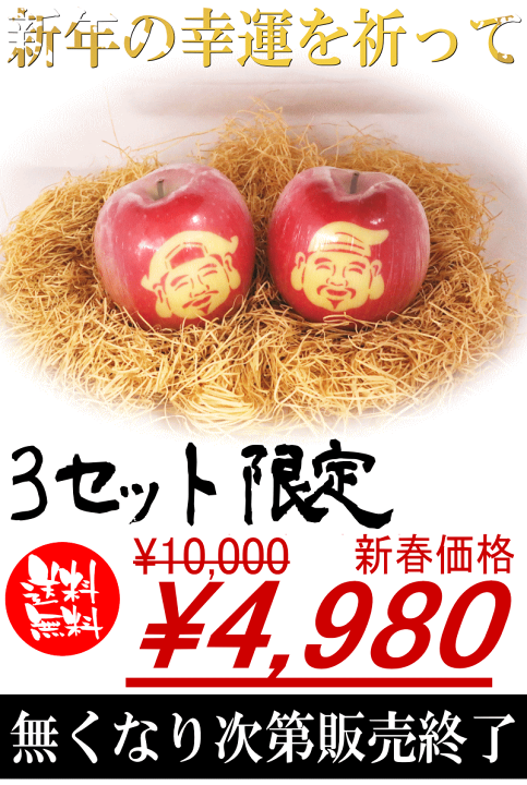 楽天市場】寒中見舞いに☆3セット限定【送料無料】青森 りんご 絵入り