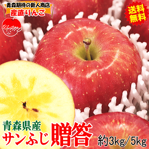 りんご 20kg 箱」の人気商品一覧 | 安い商品を通販サイトから探す