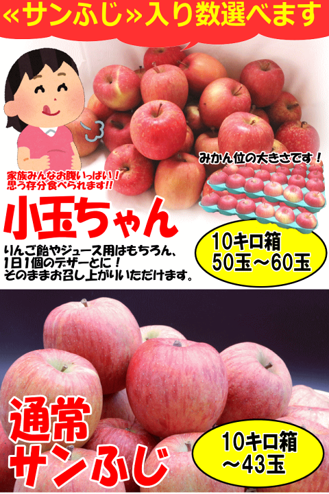 楽天市場】あす楽 青森 りんご サンふじ 10kg箱 家庭用/訳あり 楽天市場】あす楽 青森 りんご サンふじ 10kg箱 家庭用/訳あり