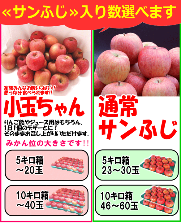 サンふじ 訳あり 15kg 減農薬 無化学肥料 青森県南部町産 りんご