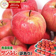 即日発送！青森 りんご サンふじ 訳あり 3kg・5kg・10kg箱 選べる【送料無料】青森 りんご サンふじ【り…