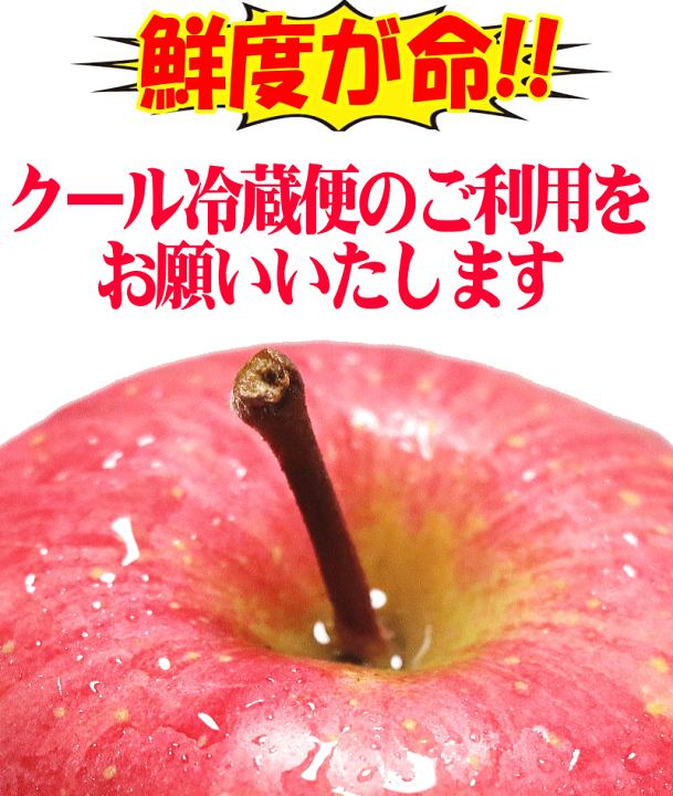 青森県産農薬不使用サンフジりんご10キロにんにく5キロ送料無料 予約】青森県産 ご家庭用 りんご サンふじ 10kg (訳あり/26玉〜46玉