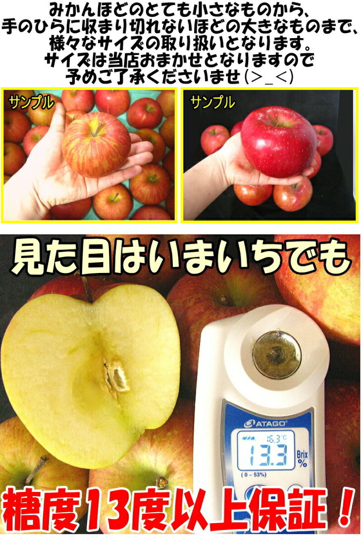 最終セール!青森 りんご サンふじ 10kg/5kg/3kg/2kg 家庭用/訳あり【クール対応 / 常温送料無料】青森 りんご 選べる10キロ 5キロ 小玉 格安【青森 りんご】【りんご 訳あり 10kg】大小様々 1840円~【家庭用訳あり】★選べる重量と小玉 サンふじ 家訳 - メイン画像 15