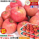 りんご 訳あり 10kg箱【クール便対応】りんご サンふじりんご 10kg箱 送料無料りんご 訳あり 10キロ クール便青森県産 サンふじ 訳あり 10kg箱【...