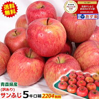 ���������5kg����̵��