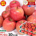 クーポンで300円引き!【送料無料】青森 りんご 訳あり 10キロ箱 サンふじリンゴ 訳あり 10kg箱 送料無料人気のサンふじ!青森県産 サンふじ 訳あり 1...