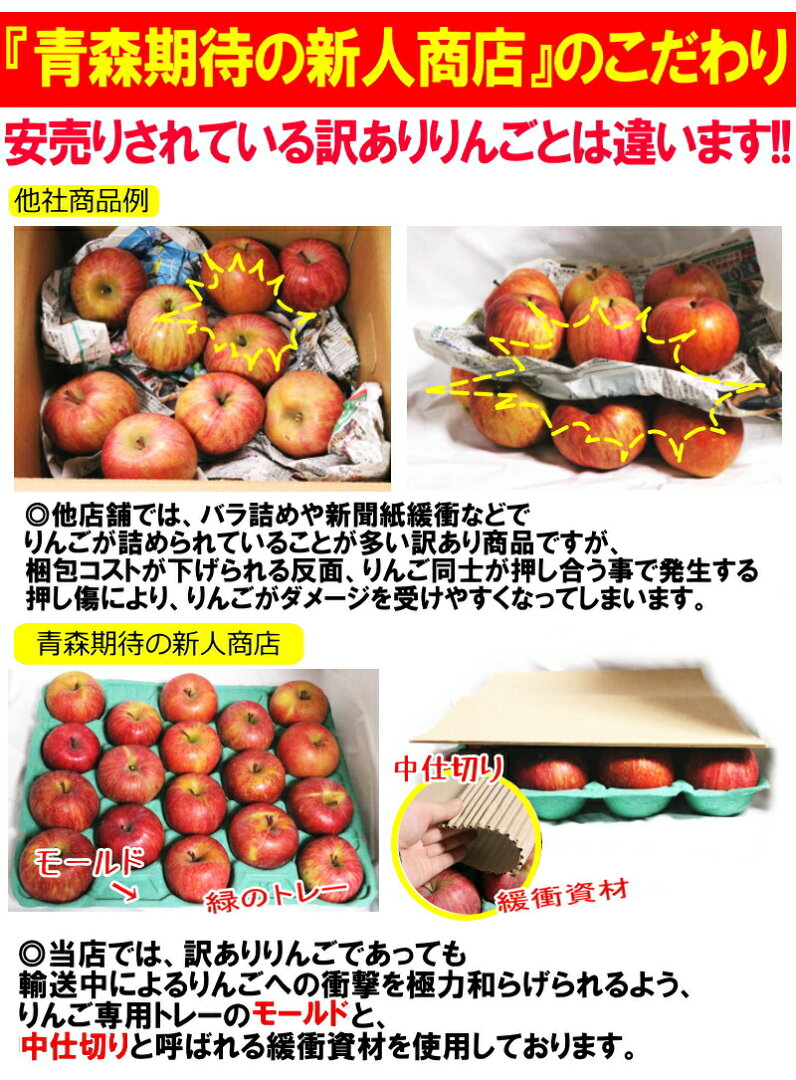 最終セール!青森 りんご サンふじ 10kg/5kg/3kg/2kg 家庭用/訳あり【クール対応 / 常温送料無料】青森 りんご 選べる10キロ 5キロ 小玉 格安【青森 りんご】【りんご 訳あり 10kg】大小様々 1840円~【家庭用訳あり】★選べる重量と小玉 サンふじ 家訳 - メイン画像 9