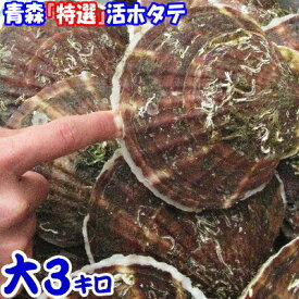 禁輸に負けない!!食べて応援【送料無料】青森 活ほたて 殻付き 大3キロ（約15-24枚）青森 ホタテ 養殖青森『特選』活ほたて 奇跡の海『むつ湾』からホタテ漁師が贈る逸品漁師直送だから鮮度抜群！大サイズ3kg 6380円【楽ギフ_のし宛書】