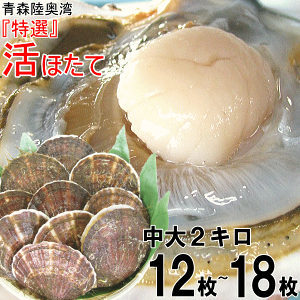 活 ほたて」の人気商品一覧 | 安い商品を通販サイトから探す