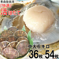 楽天市場】陸奥湾ホタテ 5kgの通販