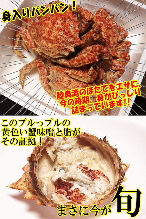 楽天市場】翌日発送≪食べて応援≫カニ 1kg 青森の毛蟹 トゲクリカニ