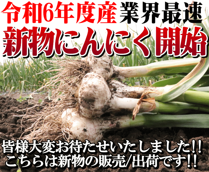 楽天市場】あす楽 にんにく 青森 5kg 訳あり Mサイズ以上大玉混合 送料 