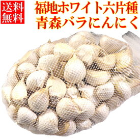 青森 にんにく 訳あり バラ【250g,400g,500g】【送料無料】青森県産 ニンニク 訳あり 【にんにく 青森】【訳あり にんにく】【ニンニク バラ】【にんにく 国産】福地ホワイト六片種 生ニンニク780円～ b01