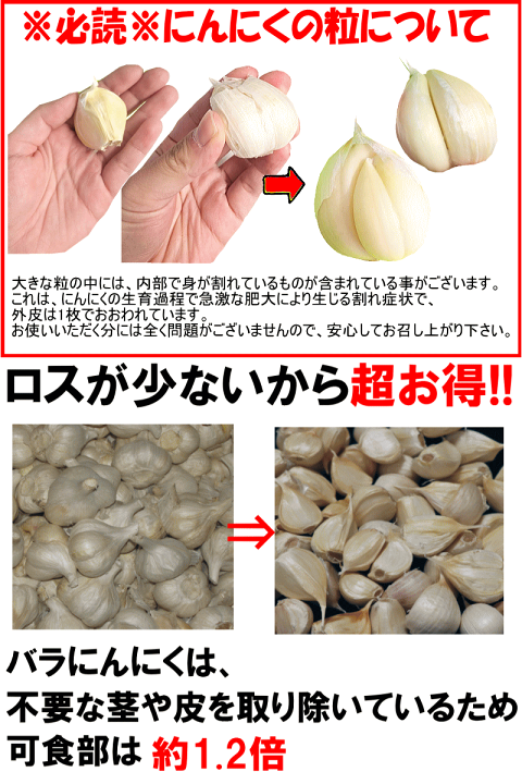 【大特価】新物 青森県産 にんにく MLバラ 10kg　福地ホワイト 種 にんにく 青森産 福地ホワイト六片種 バラ 500g 送料無料 訳