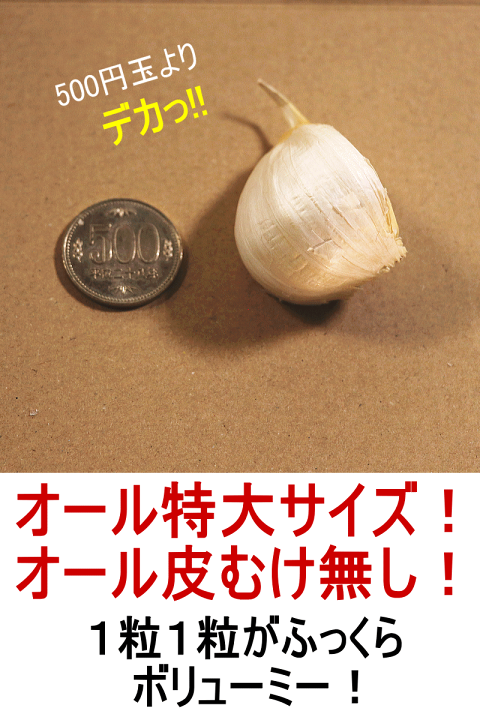 青森県バラにんにく10Kg 大、特大 剥け 楽天市場】新物【翌日