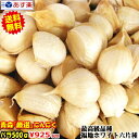 ポイント10倍!【送料無料】あす楽 青森 にんにく バラ500g中国産と比べて!国産 ニンニク 福地ホワイト六片種青森『厳選』バラにんにくにんにく 500g青森...
