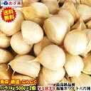 【送料無料】あす楽 青森 にんにく バラ1キロ中国産と比べて!国産 ニンニク 福地ホワイト六片種青森『厳選』バラにんにく1キロ【500g×2個】青森 ニンニク ...