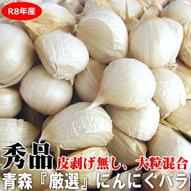 【新物】青森 厳選にんにく バラ お試し【250g・500g⇒増量中520g】皮剥げ無し 正品 大粒混合【黒にんにく作りに人気】青森 にんにく 福地ホワイト【にんにく 国産】【にんにく バラ】青森厳選バラ【税込1380円～】