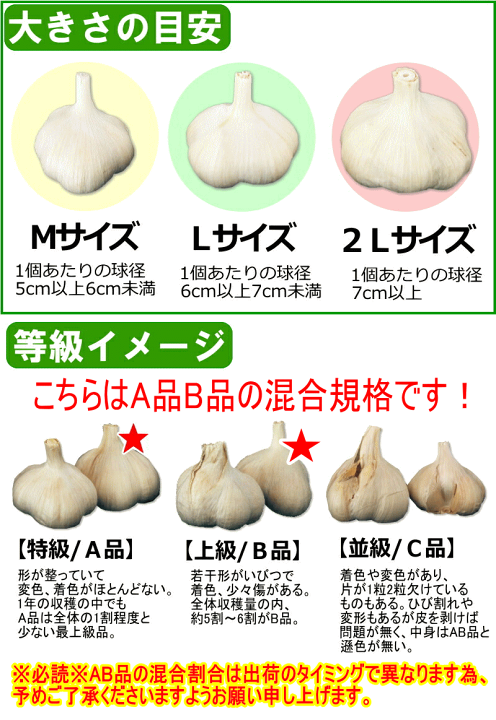楽天市場】青森にんにく A品 Lサイズ 1kg～10kg 国産 福地