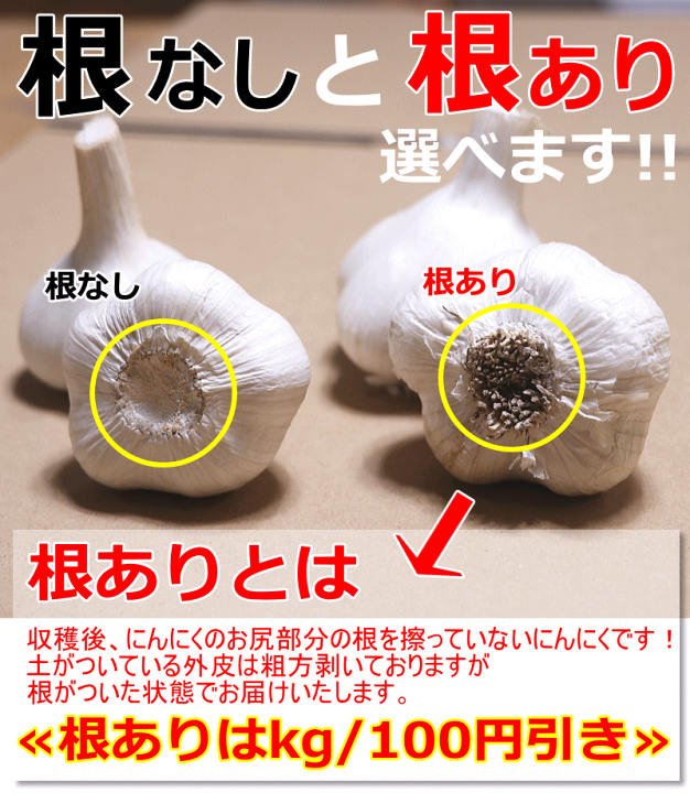 楽天市場】新物☆最安挑戦!!あす楽 にんにく 青森 1kg B品 L