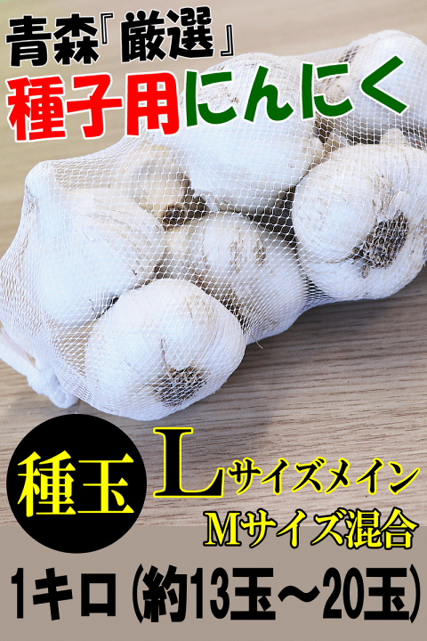 青森県産 福地ホワイト六片 にんにく Lサイズ 種用 ２０キロ 消毒済み にんにく 青森 国産 Lサイズ 2kg A品 福地ホワイト六片