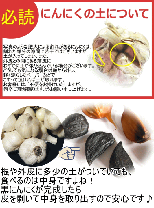 にんにく 根・土つき》山形の生にんにく約3kg